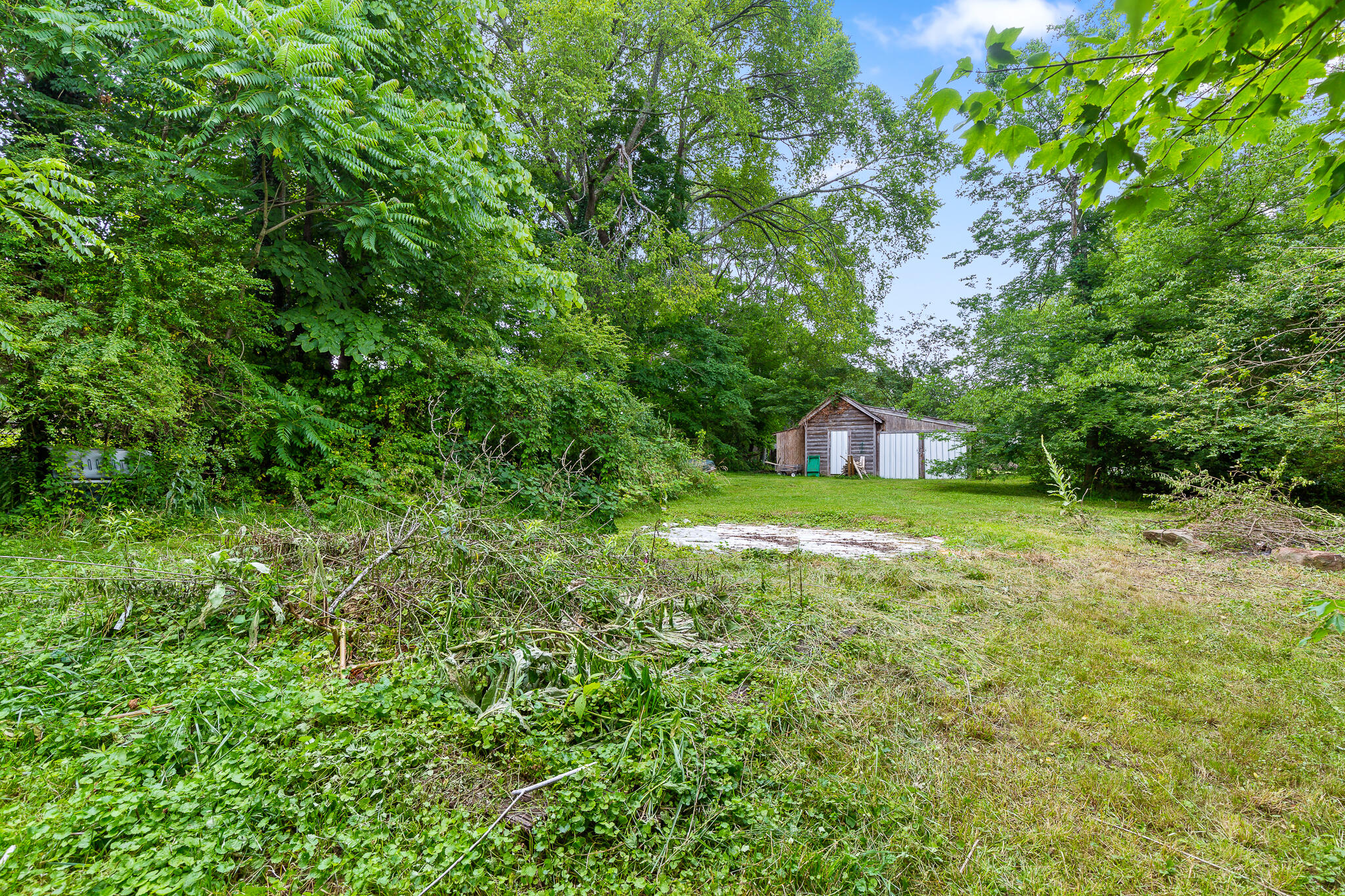 4201 North Fairmount Road Signal Mountain, TN 37377 - Photo 14 of 37 Back Yard