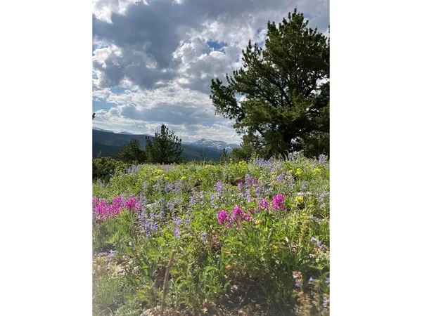 $619,000 | 305 Geneva's Way, Black Hawk, CO 80422