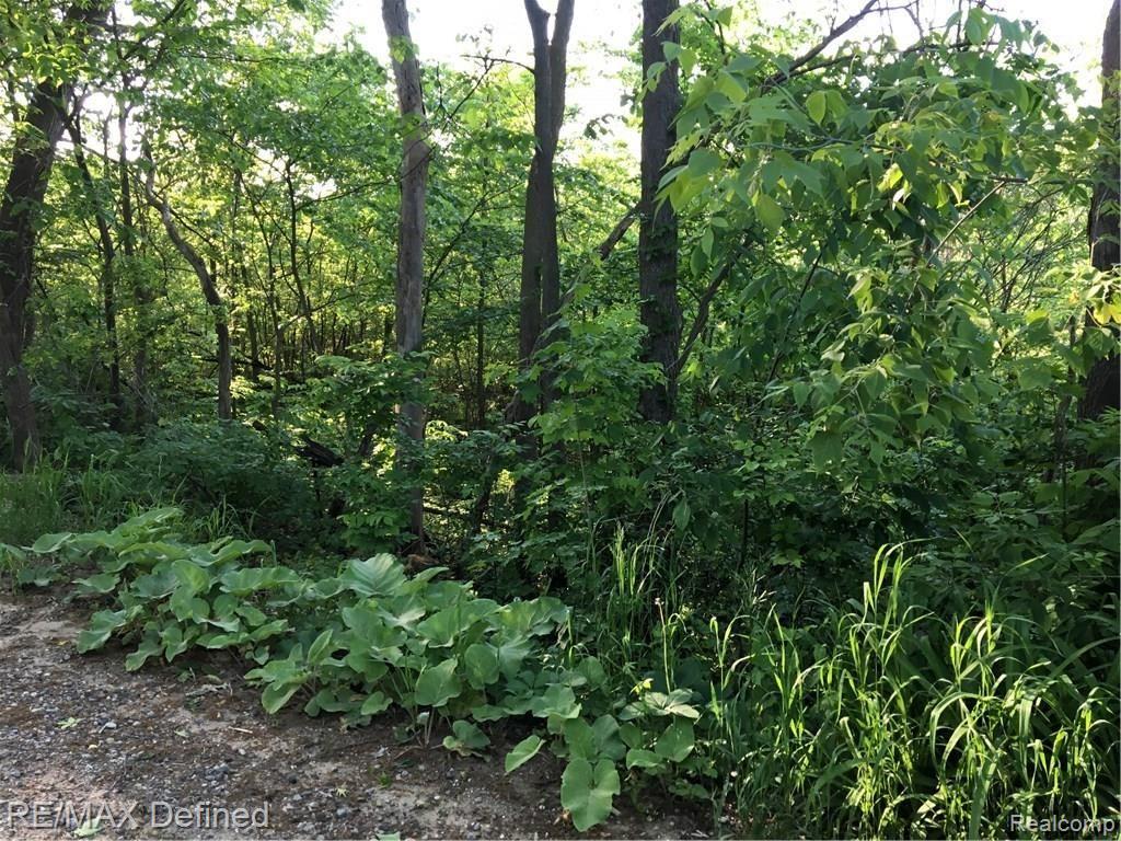 Parcel H East Rattalee Lake Road Holly, MI 48442 - Photo 4 of 13