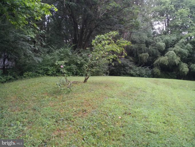 2550 Rambling Road Vienna, VA 22181 - Photo 2 of 13 Exterior (Rear)