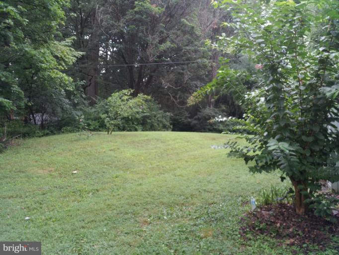 2550 Rambling Road Vienna, VA 22181 - Photo 4 of 13 Back Yard