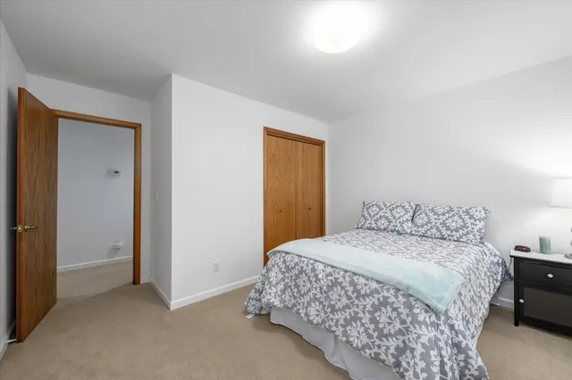 a bedroom with a bed and a closet