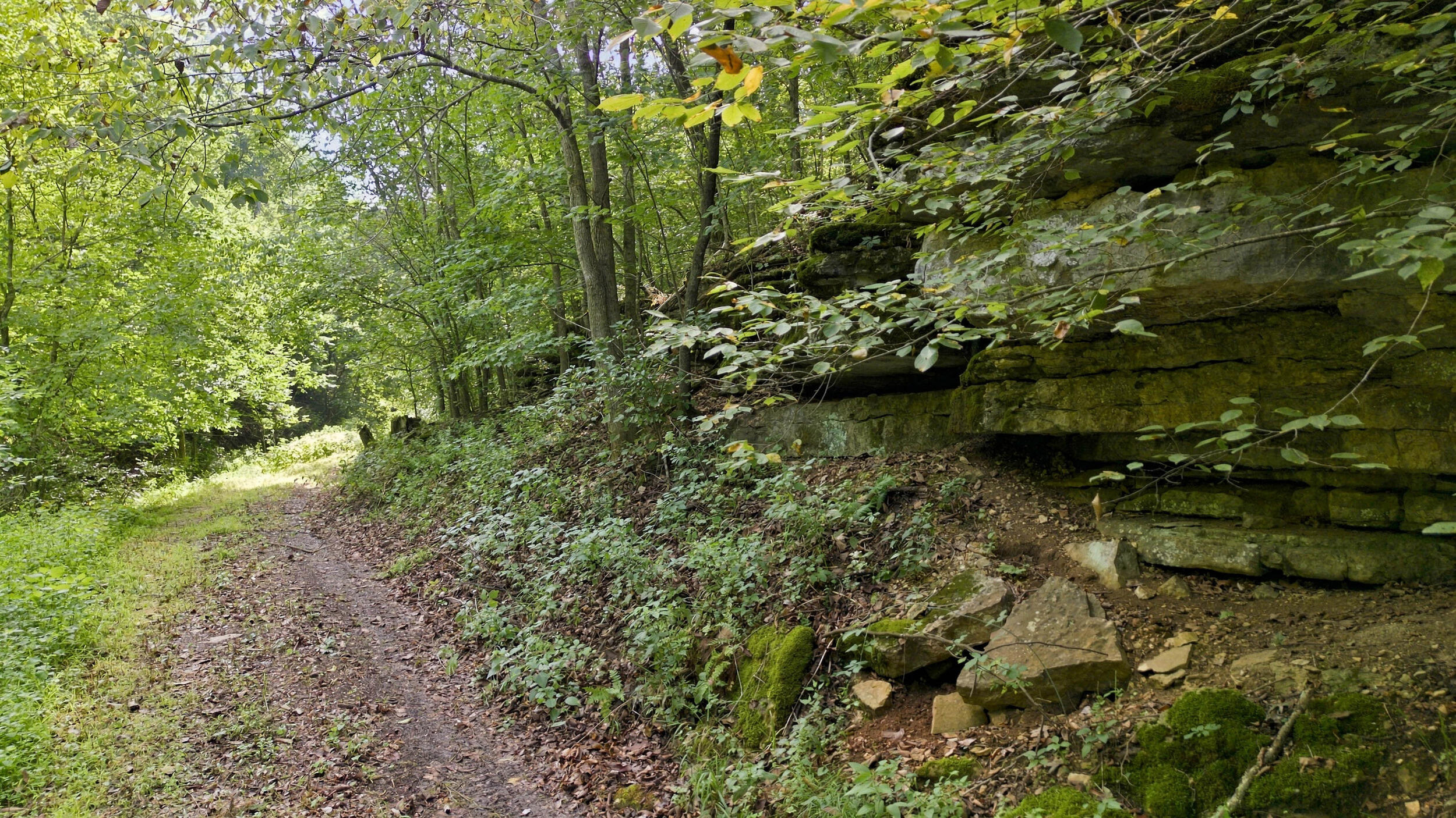 24709 Wolfe Road Washburn, MO 65772 - Photo 43 of 50 38_dji_0019
