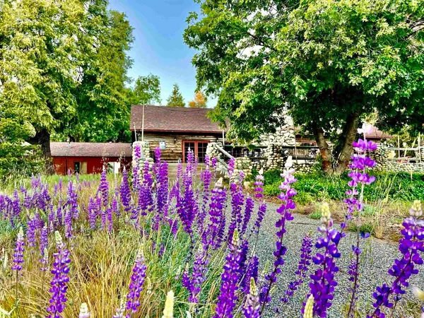$999,000 | 22228 Crestline Road, Palomar Mountain, CA 92060