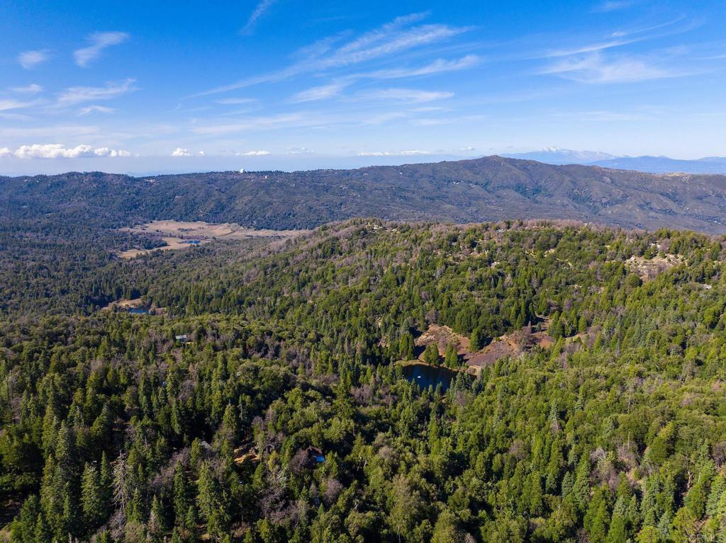 22228 Crestline Road Palomar Mountain, CA 92060 - Photo 47 of 55