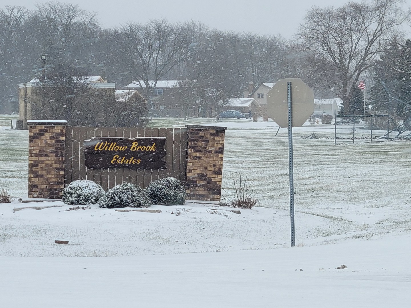 3246 East Forestview Trail Crete, IL 60417 - Photo 12 of 12 a view of a street with a building in the background