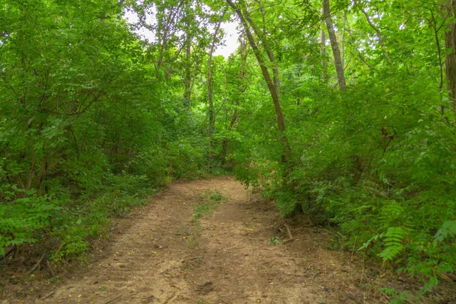 a backyard of a house with lots of green space