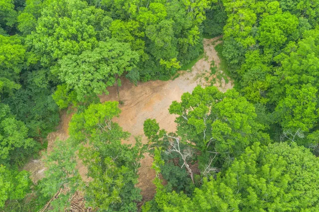 a view of a dirt road with trees in the background