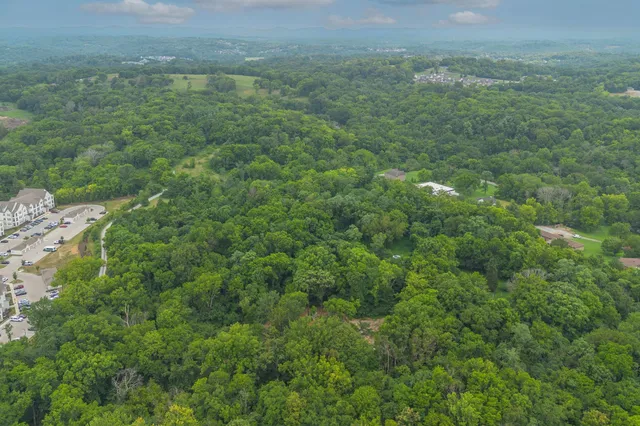 a view of a lake with a mountain in the background