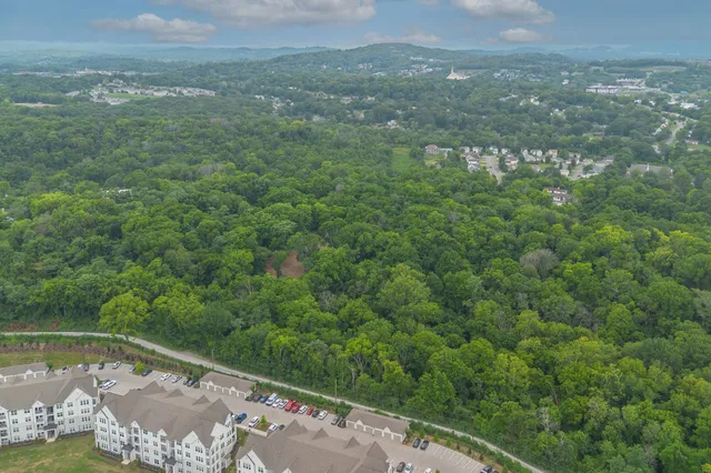 a view of a city with lush green forest