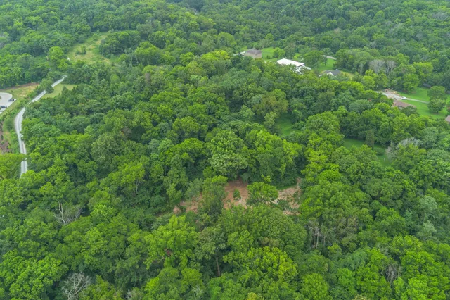 a view of green field with trees in the background