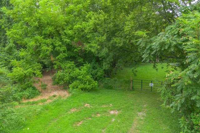a view of a lush green space