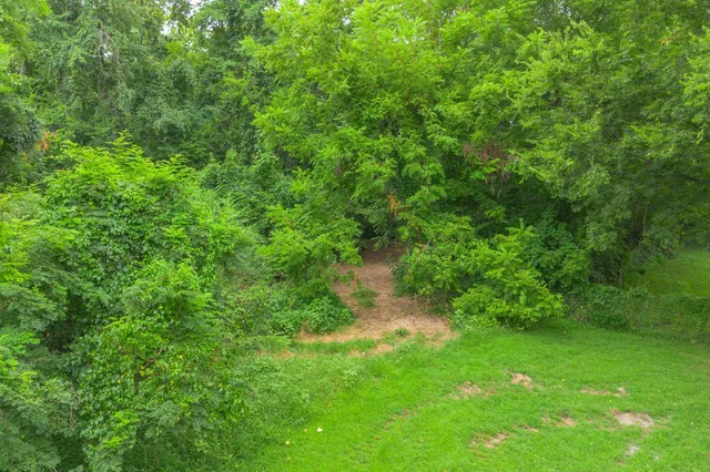 a big yard with lots of green space and trees