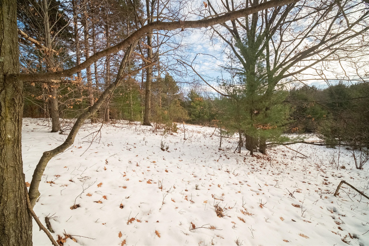 0 Erdman Road Onekama, MI 49675 - Photo 64 of 69 Gallery Image 64
