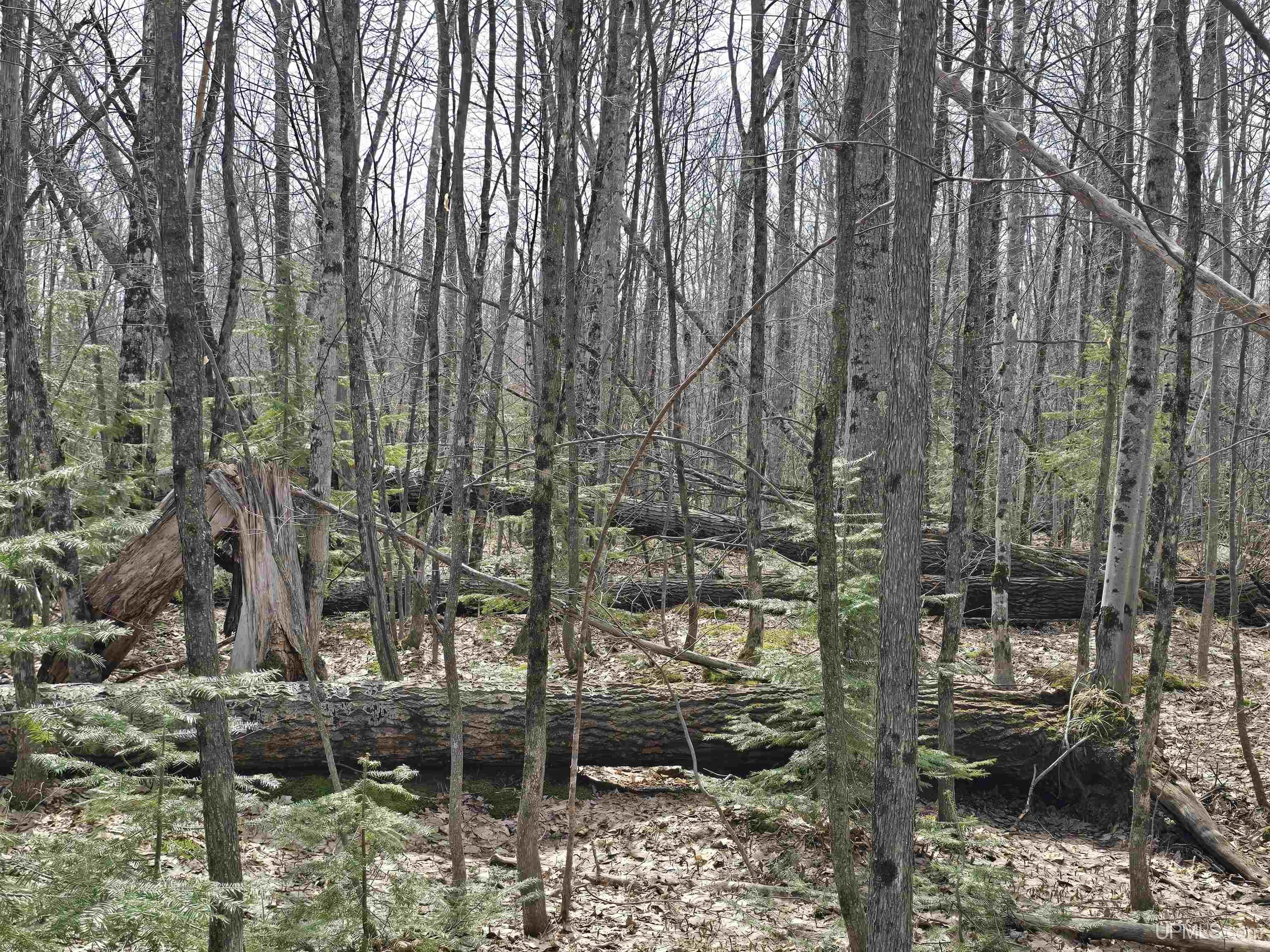 Tbd Woodspur Road Ontonagon, MI 49953 - Photo 38 of 46