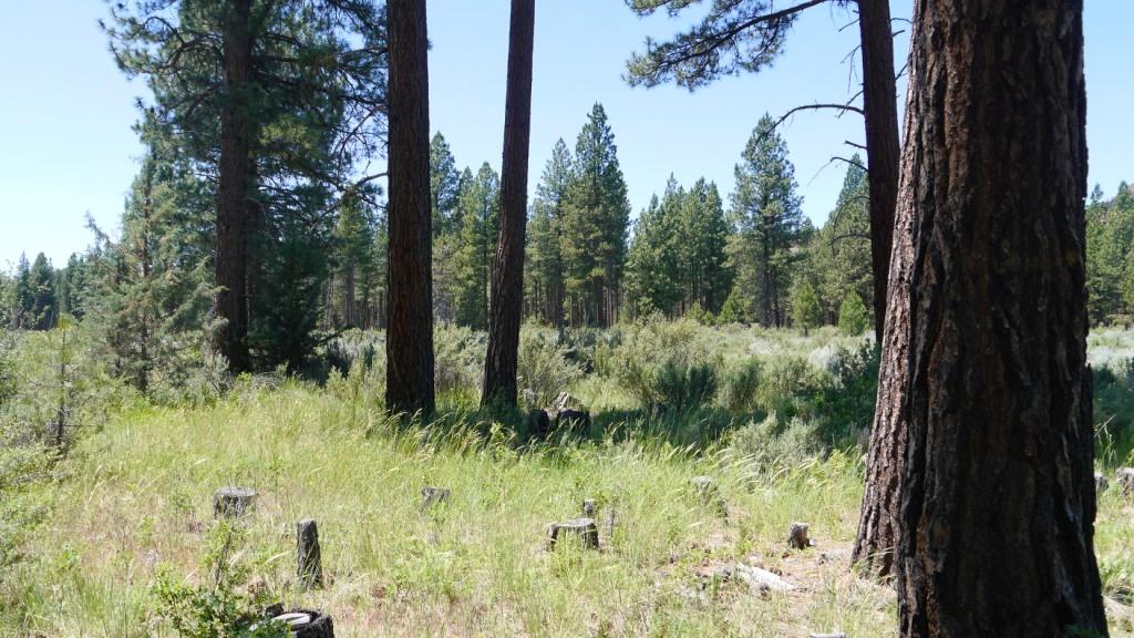 0 Ponina Creek Road Beatty, OR 97621 - Photo 6 of 16 P1200616