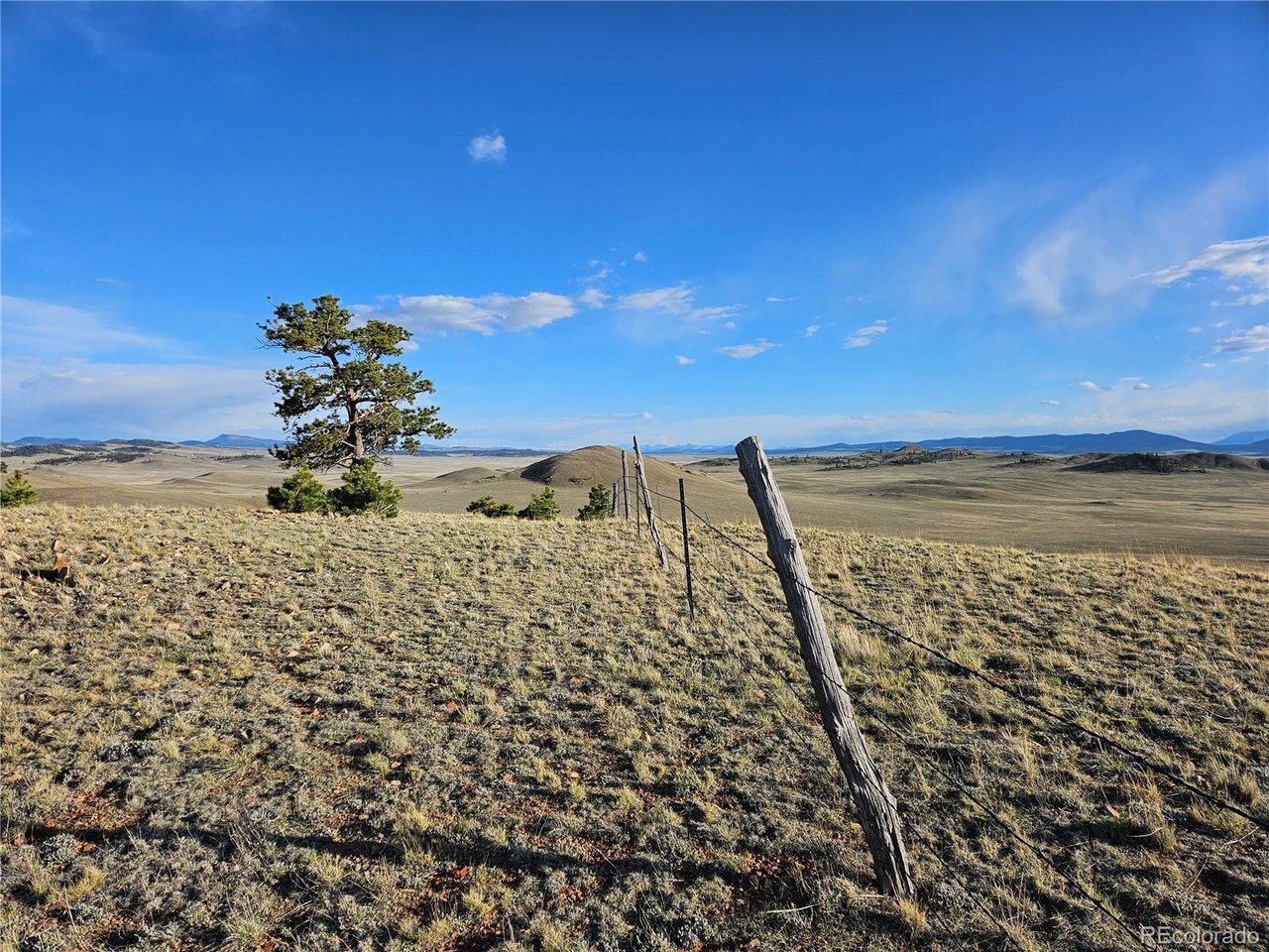 24142 Antero Road Hartsel, CO 80449 - Photo 10 of 48