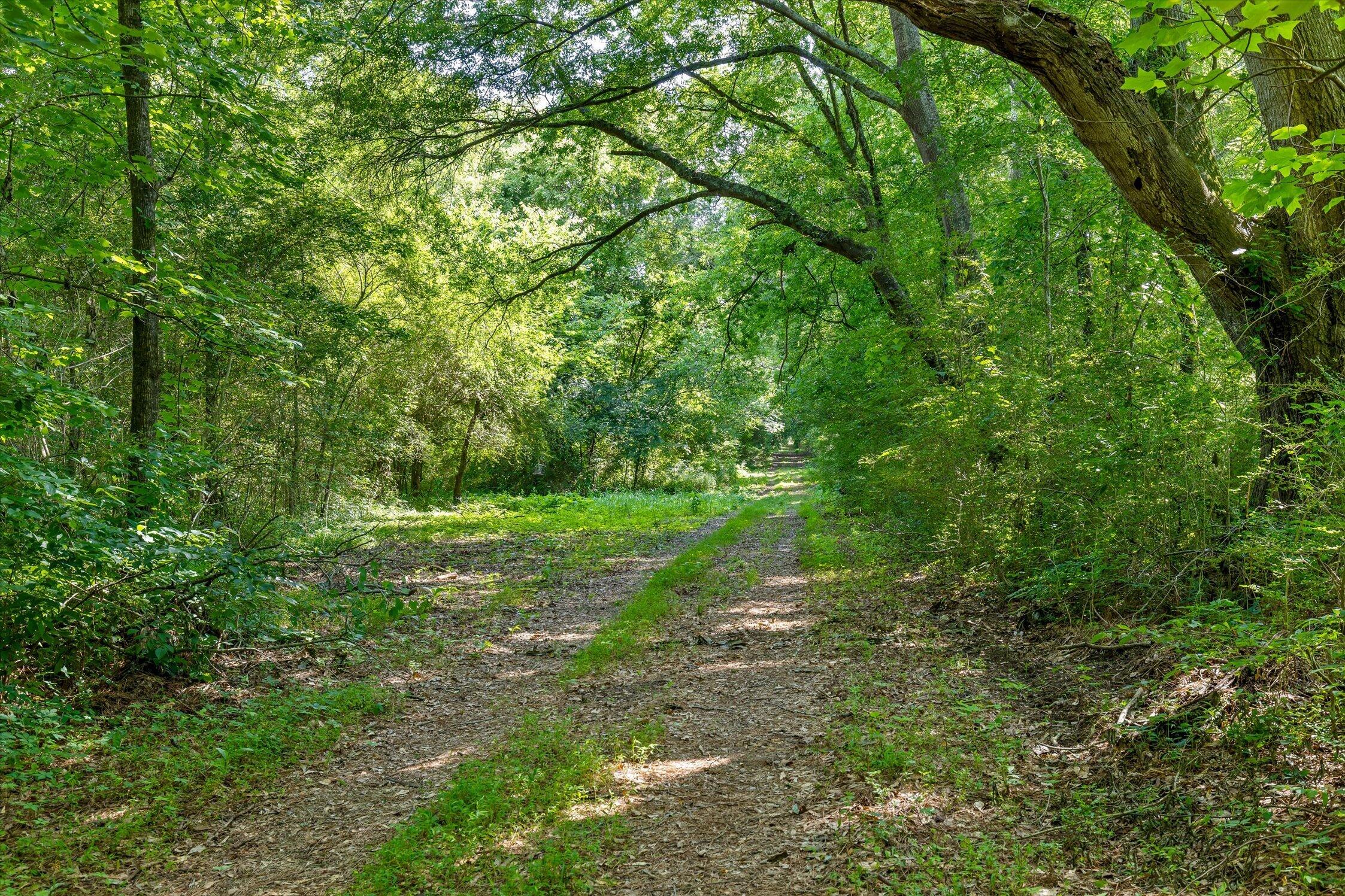 0 Hildabrand Road Ocoee, TN 37361 - Photo 22 of 46 10-Old Federal Rd-3