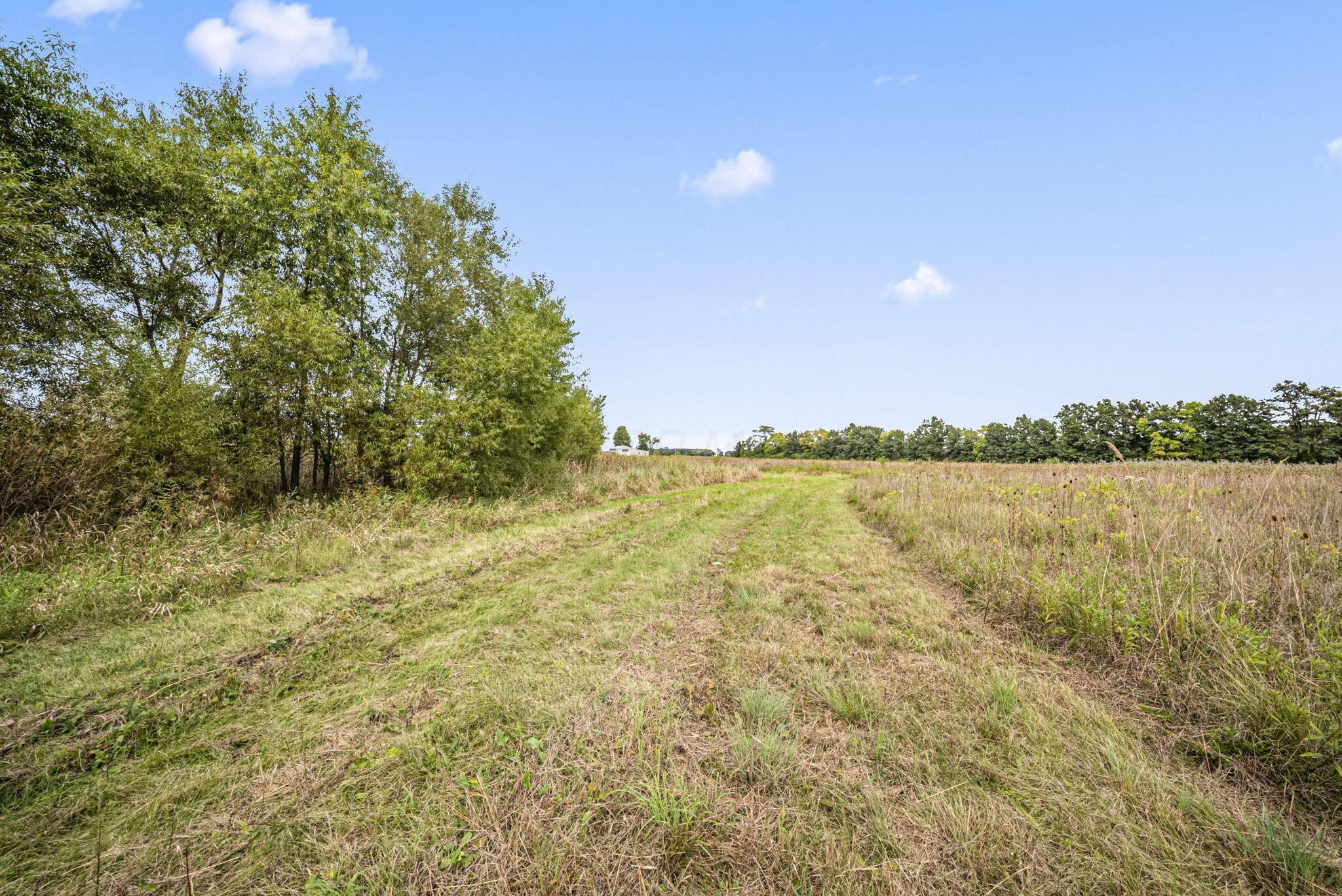0 Likens Road Marion, OH 43302 - Photo 36 of 88 34-web-or-mls-DSC06996