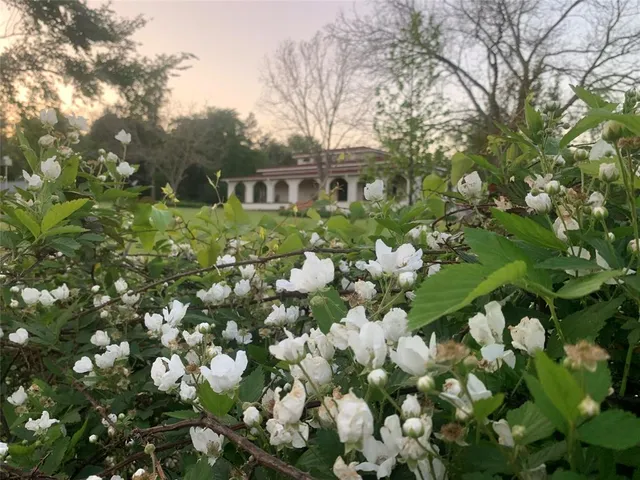 $594,900 | 8414 County Road 3907, Athens, TX 75752