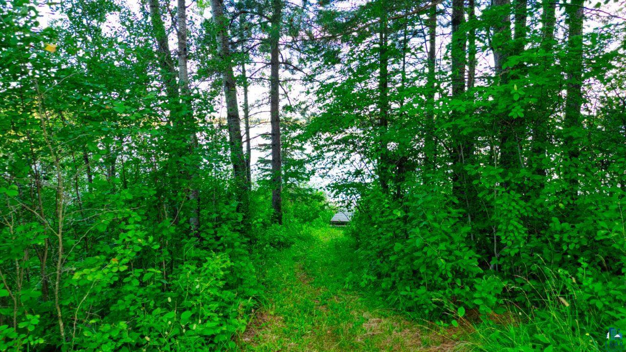 3339 Mud Hen Road Makinen, MN 55763 - Photo 9 of 22 View of local wilderness