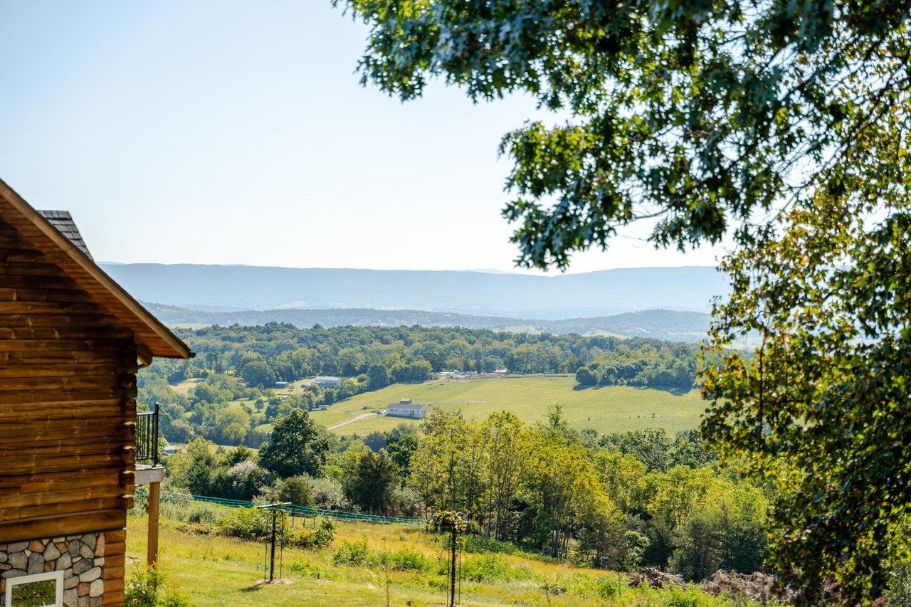 12012 Hollar School Road Linville, VA 22834 - Photo 26 of 75 Views!!!!!