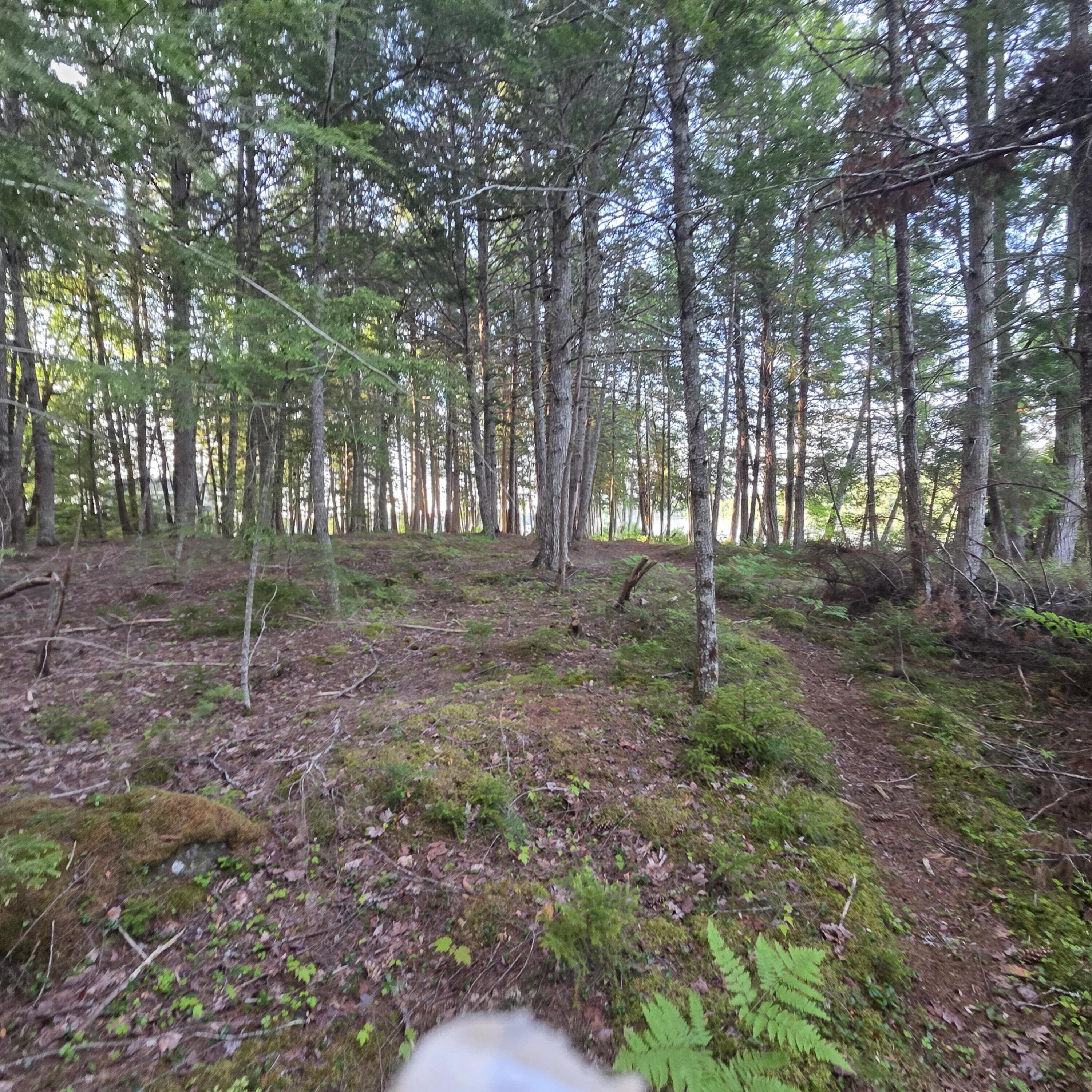 74 Eagle Ridge Road Lincoln, ME 04457 - Photo 7 of 32
