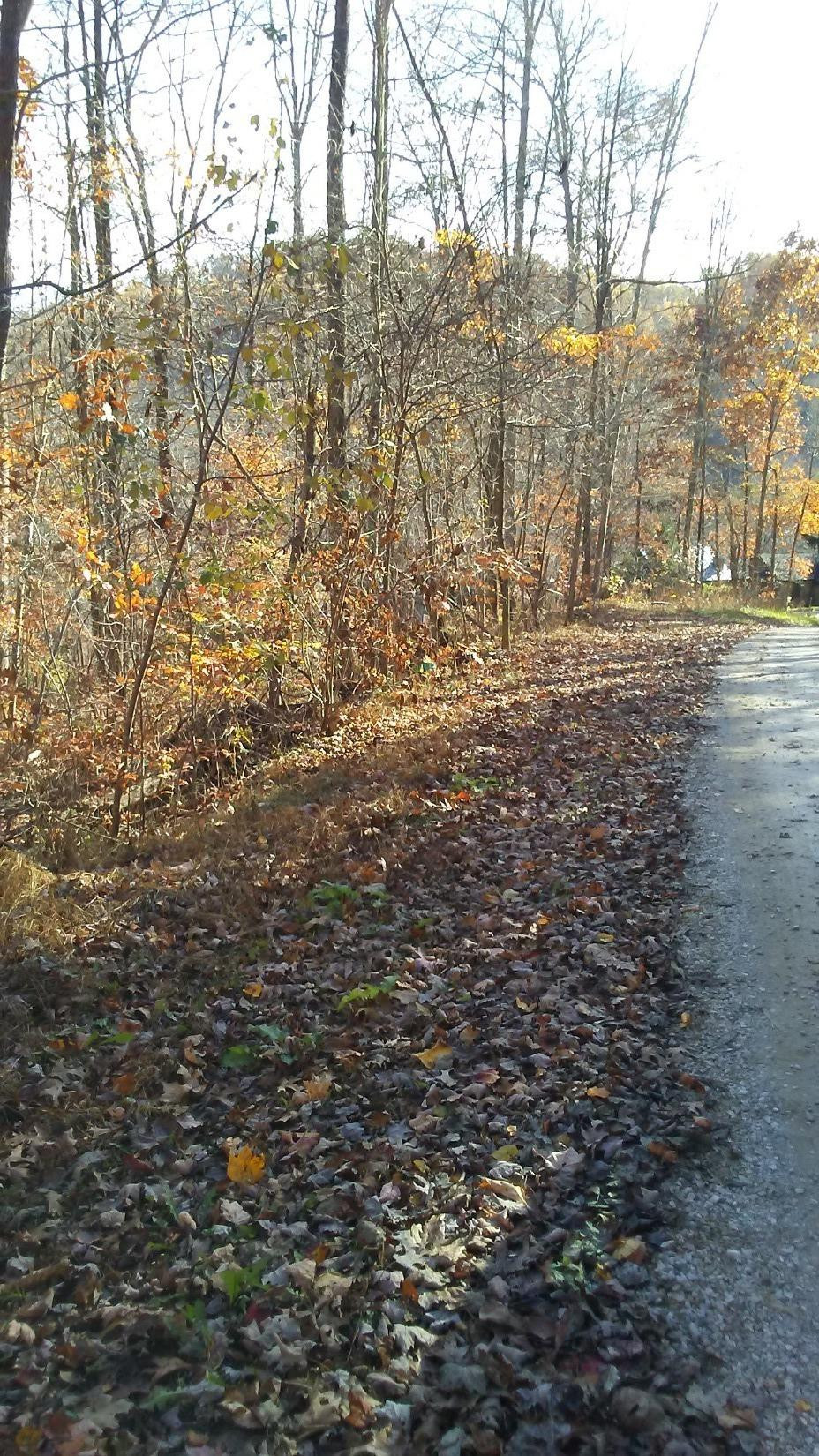 999 Highway 2004-duke Powell Road McKee, KY 40447 - Photo 10 of 10 Photo 10