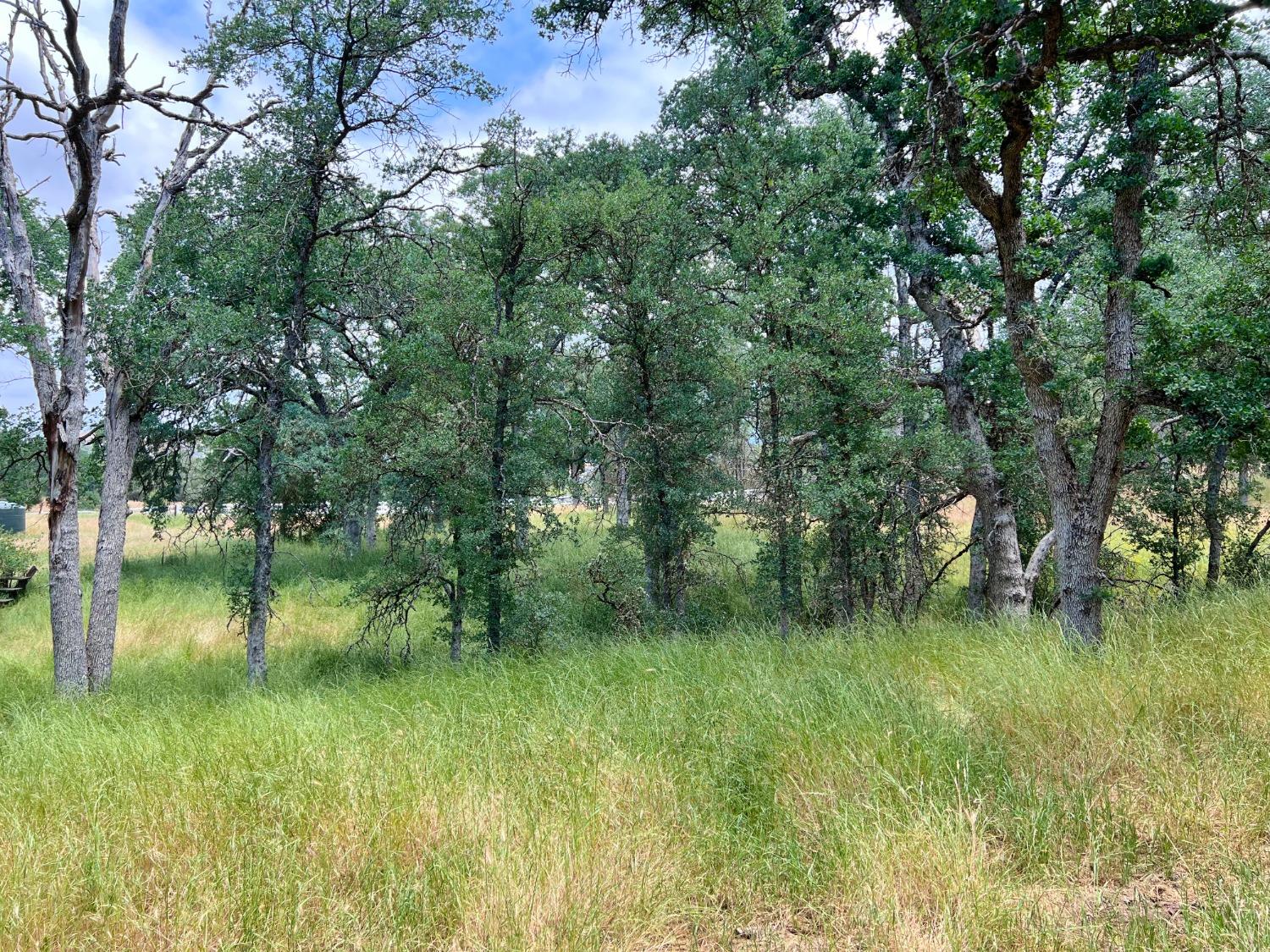 35910 Wells Road Coarsegold, CA 93614 - Photo 3 of 18 Gallery Image 3