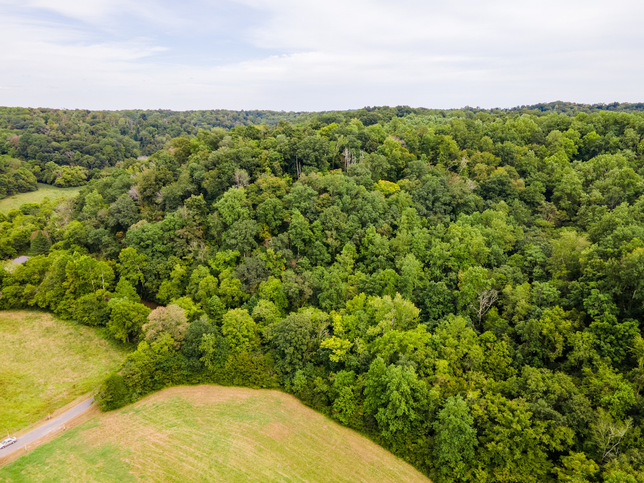 a view of a field of grass and trees