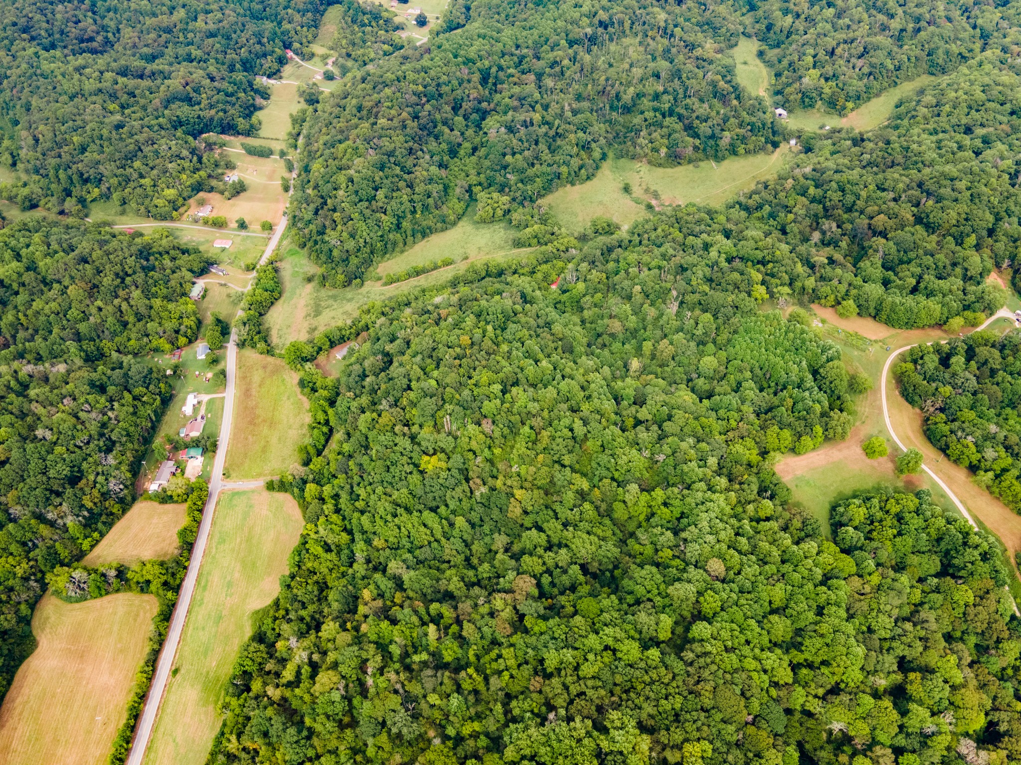 3045 Robert Skelley Road Columbia, TN 38401 - Photo 3 of 7 a view of a yard with plants and large trees