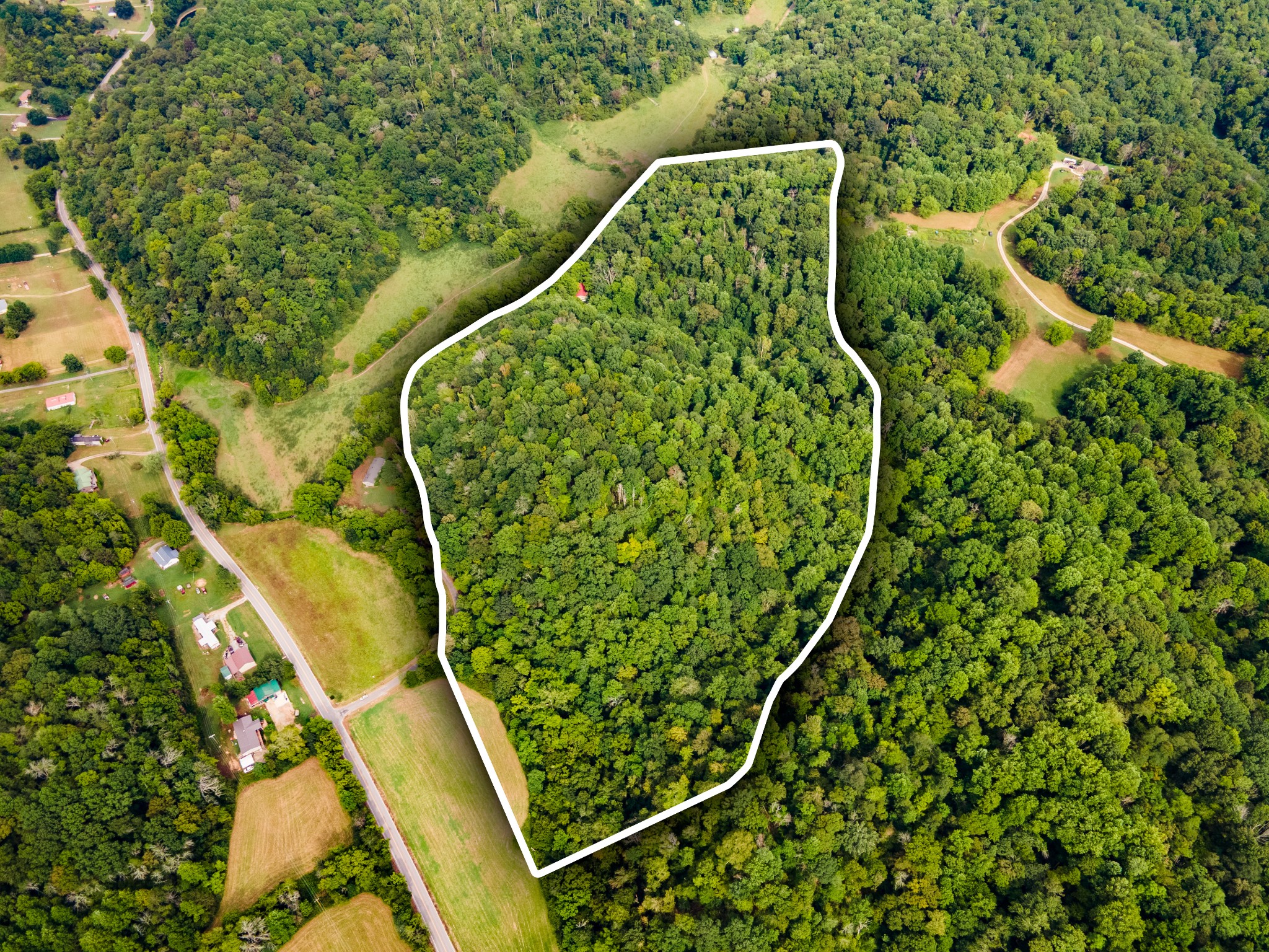 3045 Robert Skelley Road Columbia, TN 38401 - Photo 4 of 7