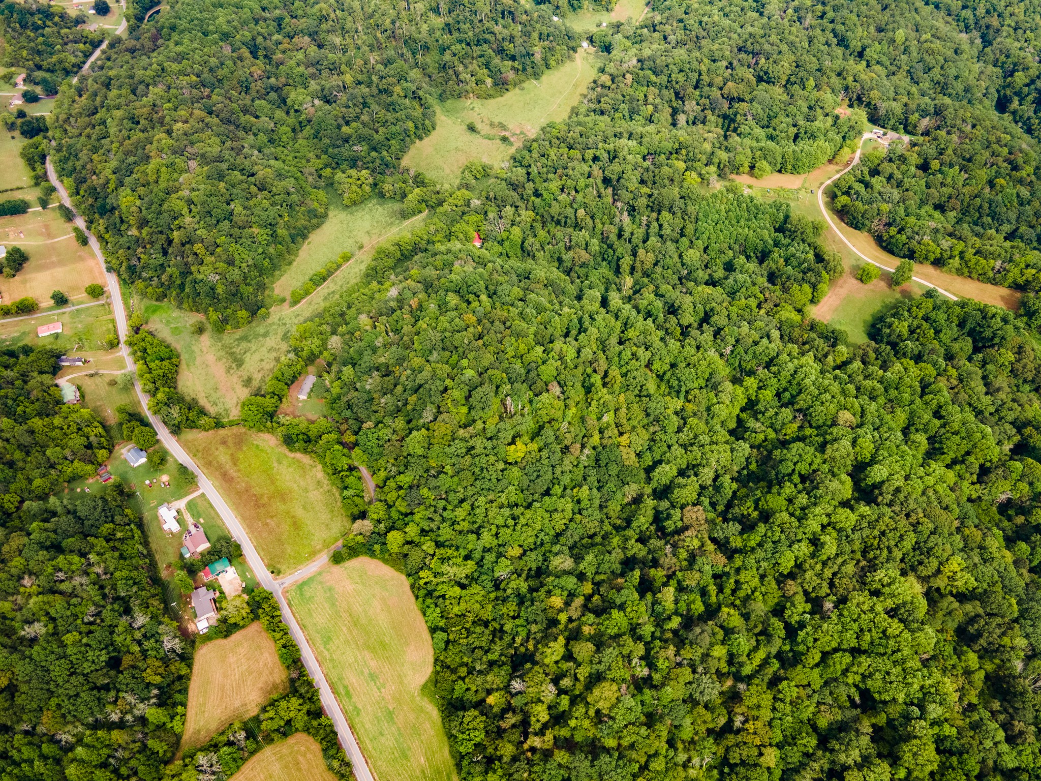 3045 Robert Skelley Road Columbia, TN 38401 - Photo 5 of 7 a view of a yard with plants