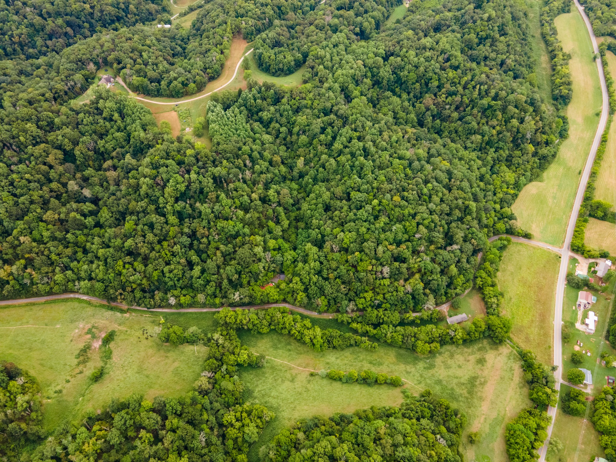 3045 Robert Skelley Road Columbia, TN 38401 - Photo 6 of 7 a view of a yard
