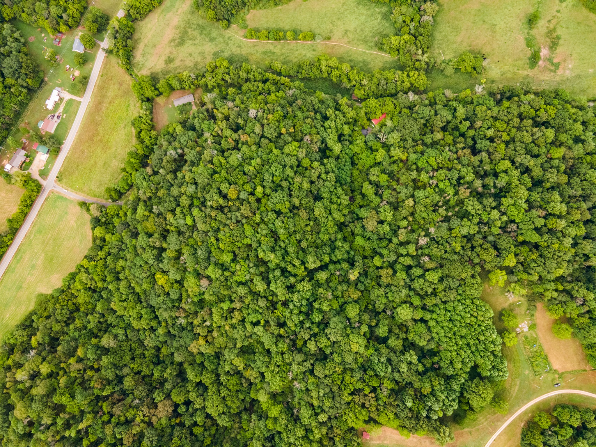 3045 Robert Skelley Road Columbia, TN 38401 - Photo 7 of 7 a view of a yard with plants and wooden fence