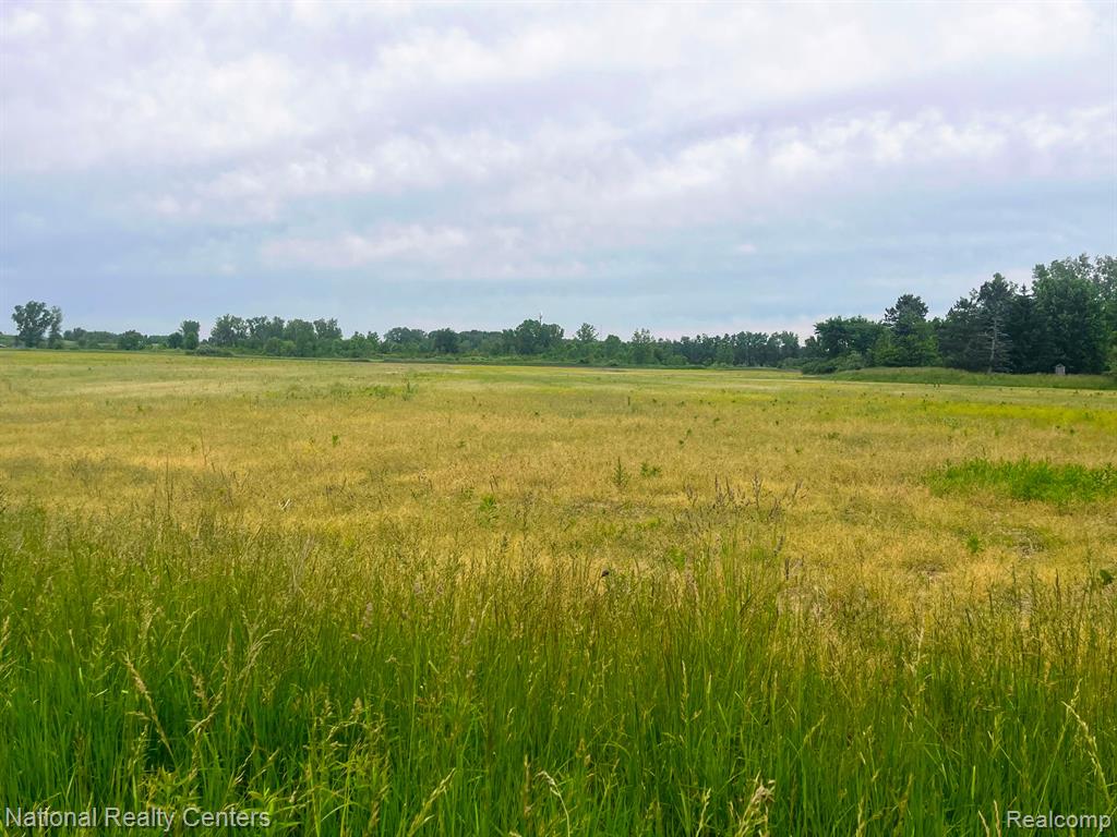Parcel H Sharrard Road Allenton, MI 48002 - Photo 3 of 3