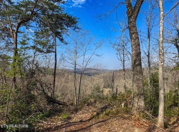 $89,900 | Clifty Creek Road, Winfield, TN 37892