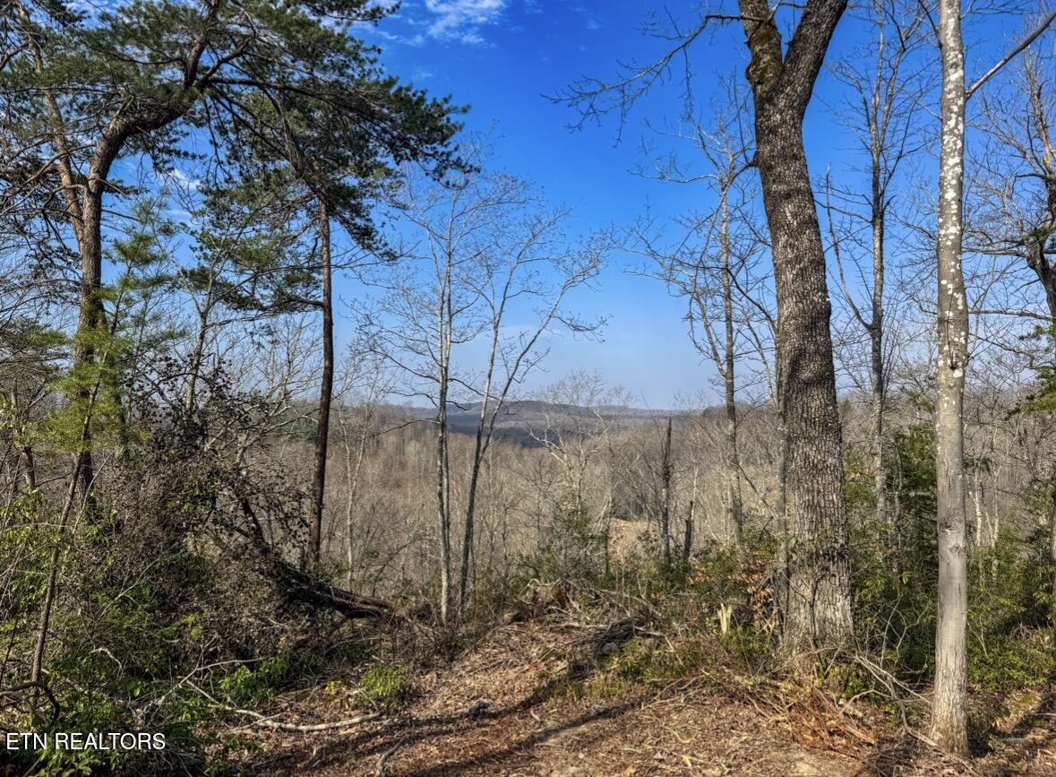 Clifty Creek Road Winfield, TN 37892 - Photo 2 of 10 IMG_2283