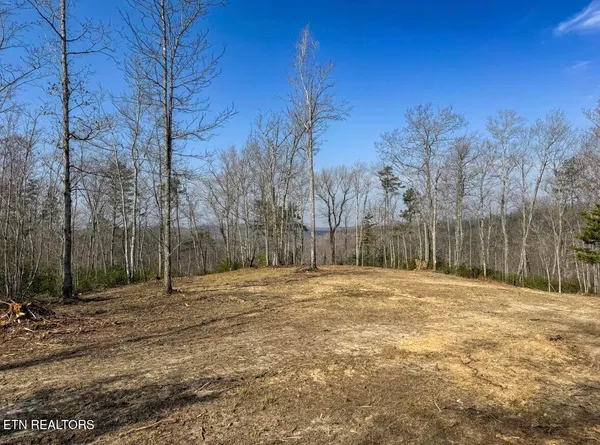 $89,900 | Clifty Creek Road, Winfield, TN 37892