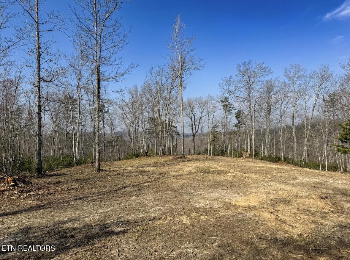 Clifty Creek Road Winfield, TN 37892 - Photo 3 of 10 IMG_2284