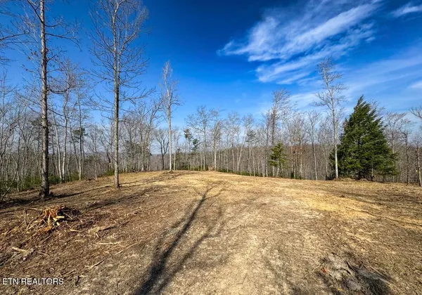 $89,900 | Clifty Creek Road, Winfield, TN 37892