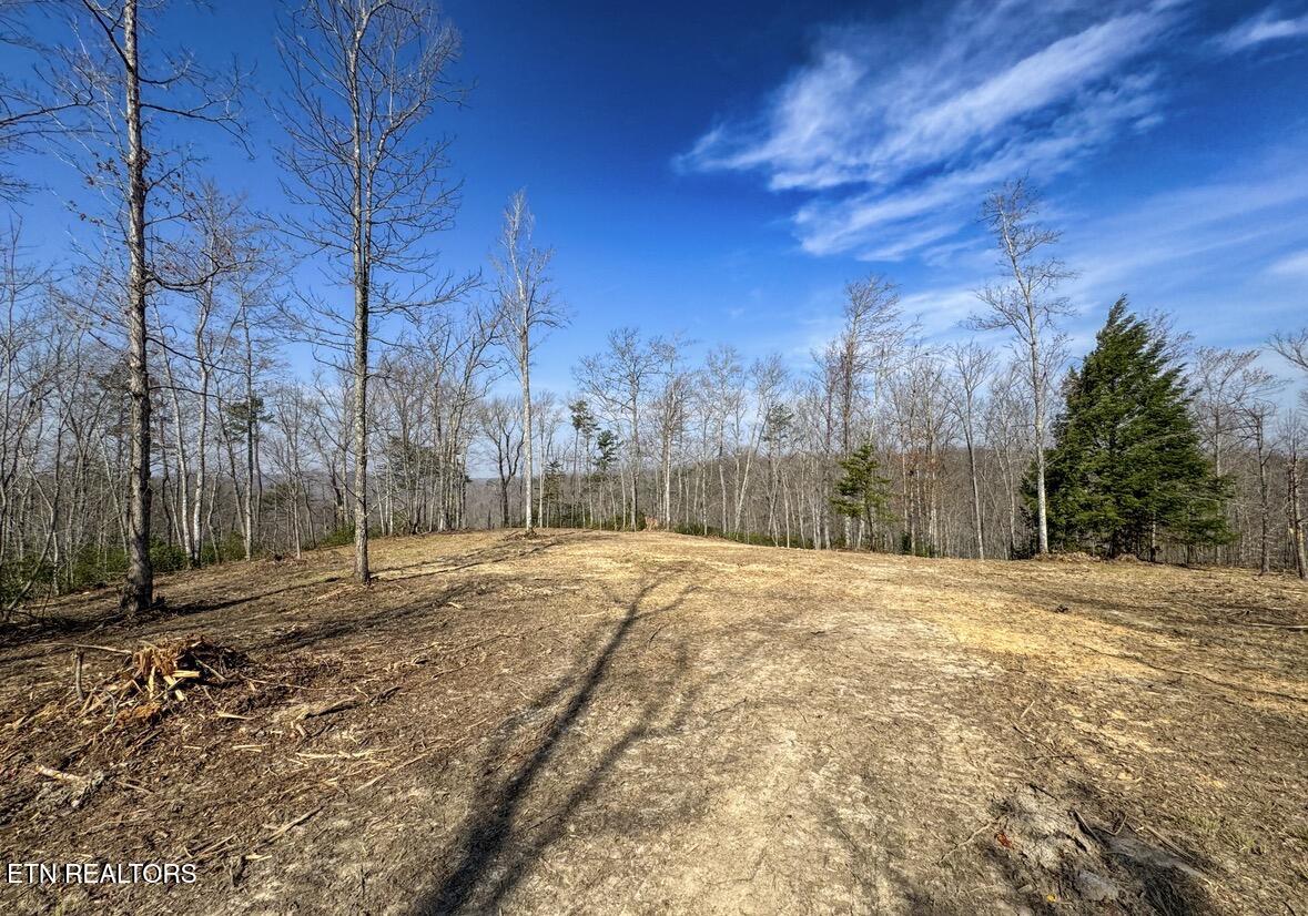 Clifty Creek Road Winfield, TN 37892 - Photo 4 of 10 IMG_2286