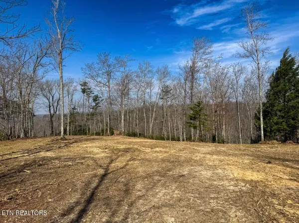 $89,900 | Clifty Creek Road, Winfield, TN 37892
