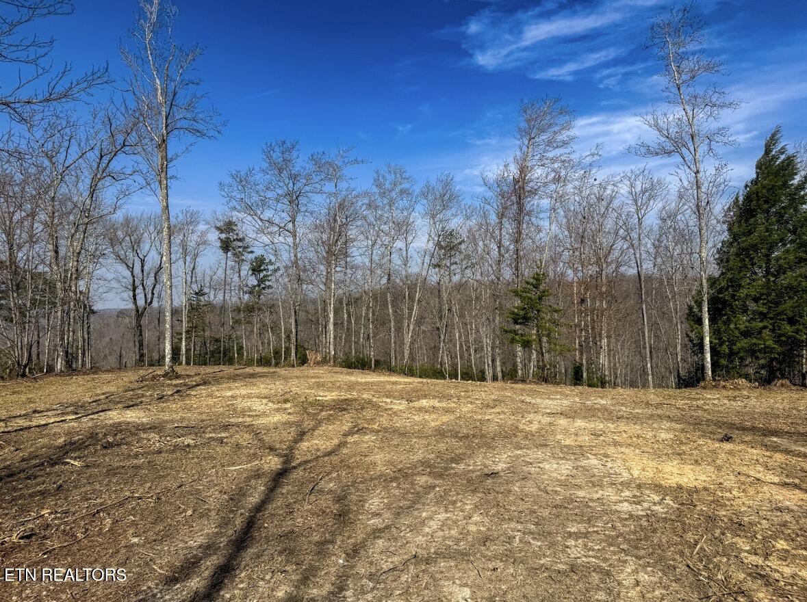 Clifty Creek Road Winfield, TN 37892 - Photo 5 of 10 IMG_2291