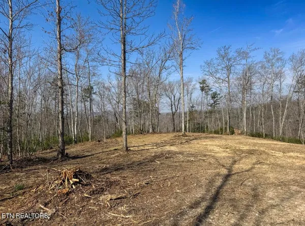 $89,900 | Clifty Creek Road, Winfield, TN 37892
