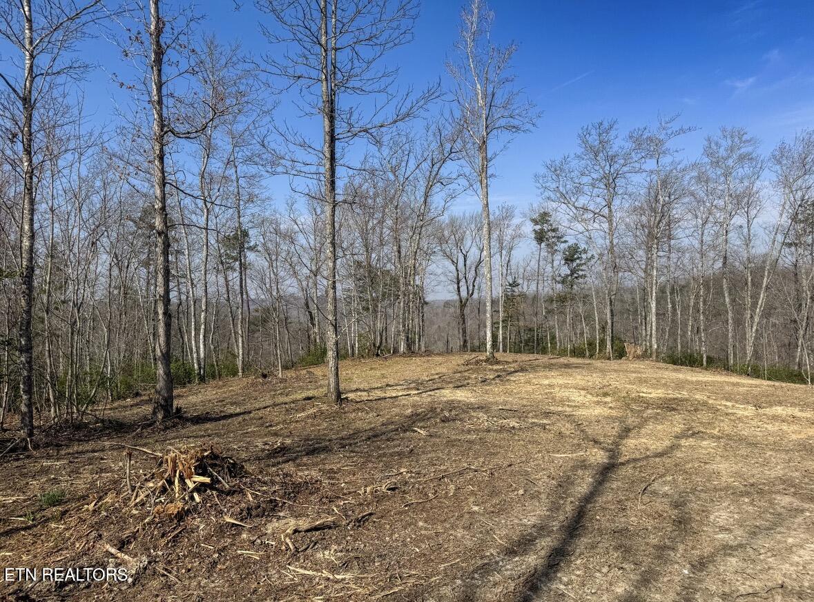 Clifty Creek Road Winfield, TN 37892 - Photo 6 of 10 IMG_2290