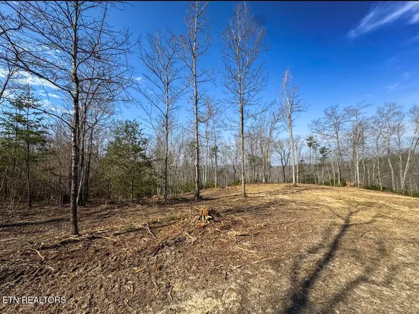 $89,900 | Clifty Creek Road, Winfield, TN 37892