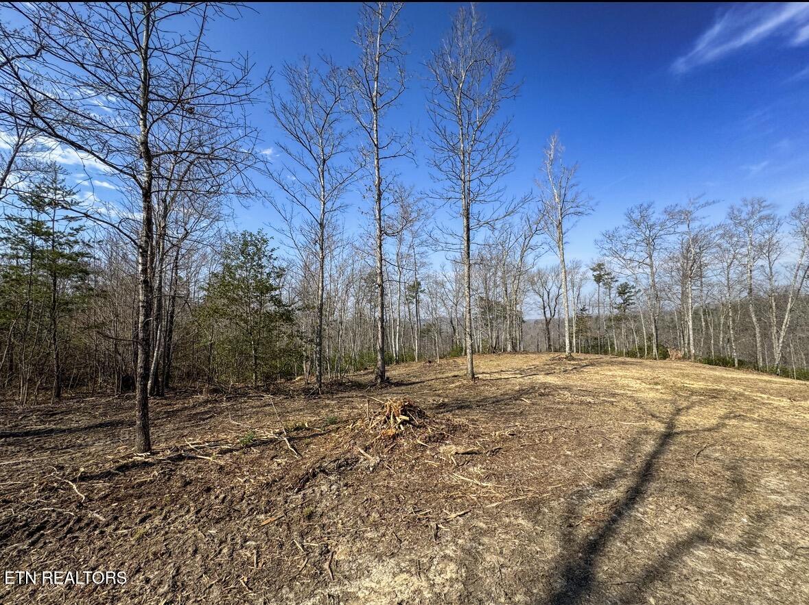 Clifty Creek Road Winfield, TN 37892 - Photo 7 of 10 IMG_2289