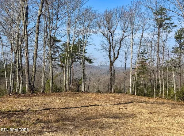 $89,900 | Clifty Creek Road, Winfield, TN 37892