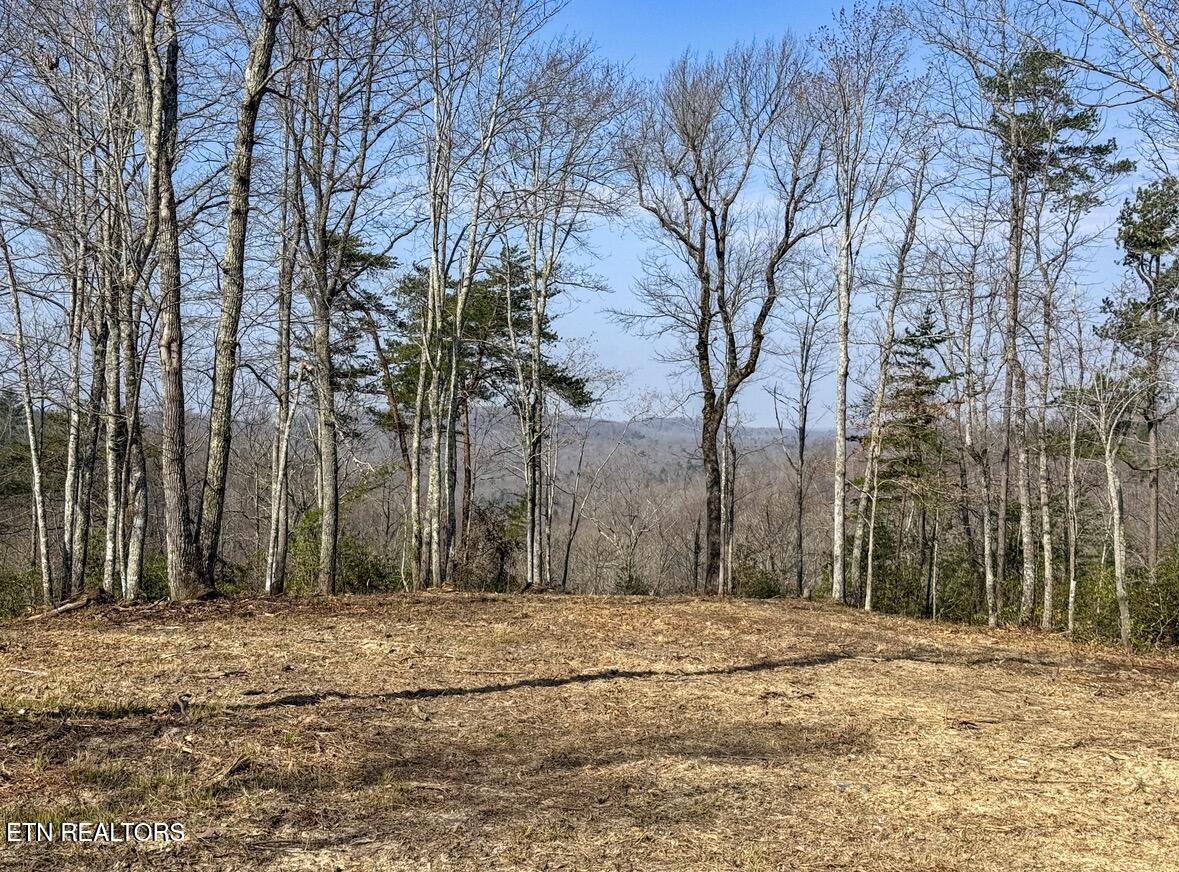 Clifty Creek Road Winfield, TN 37892 - Photo 8 of 10 IMG_2294